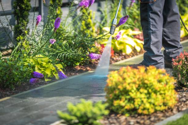 Best Gutter Cleaning  in Vandergrift, PA